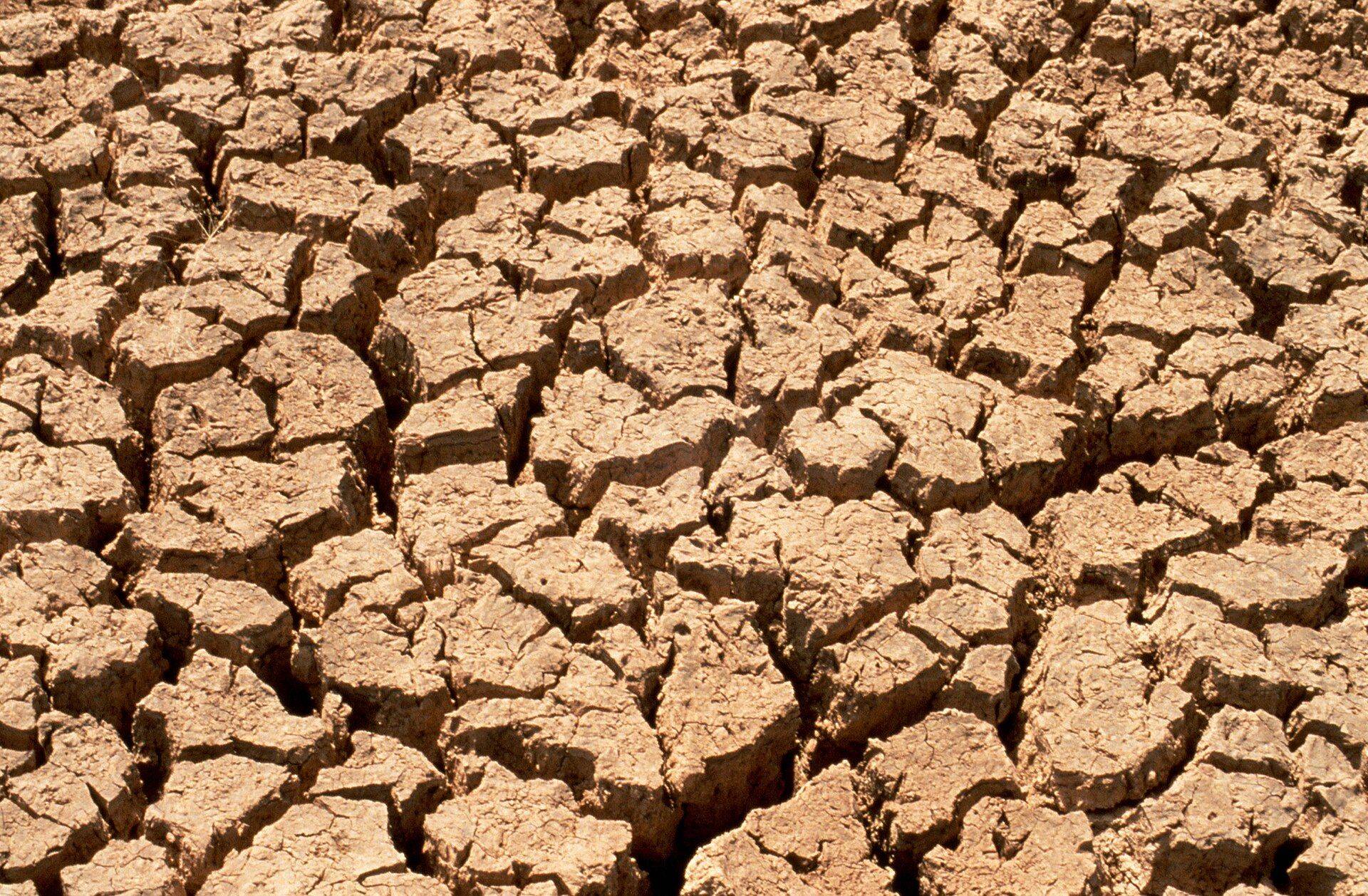 Dry, cracked earth under a hard season