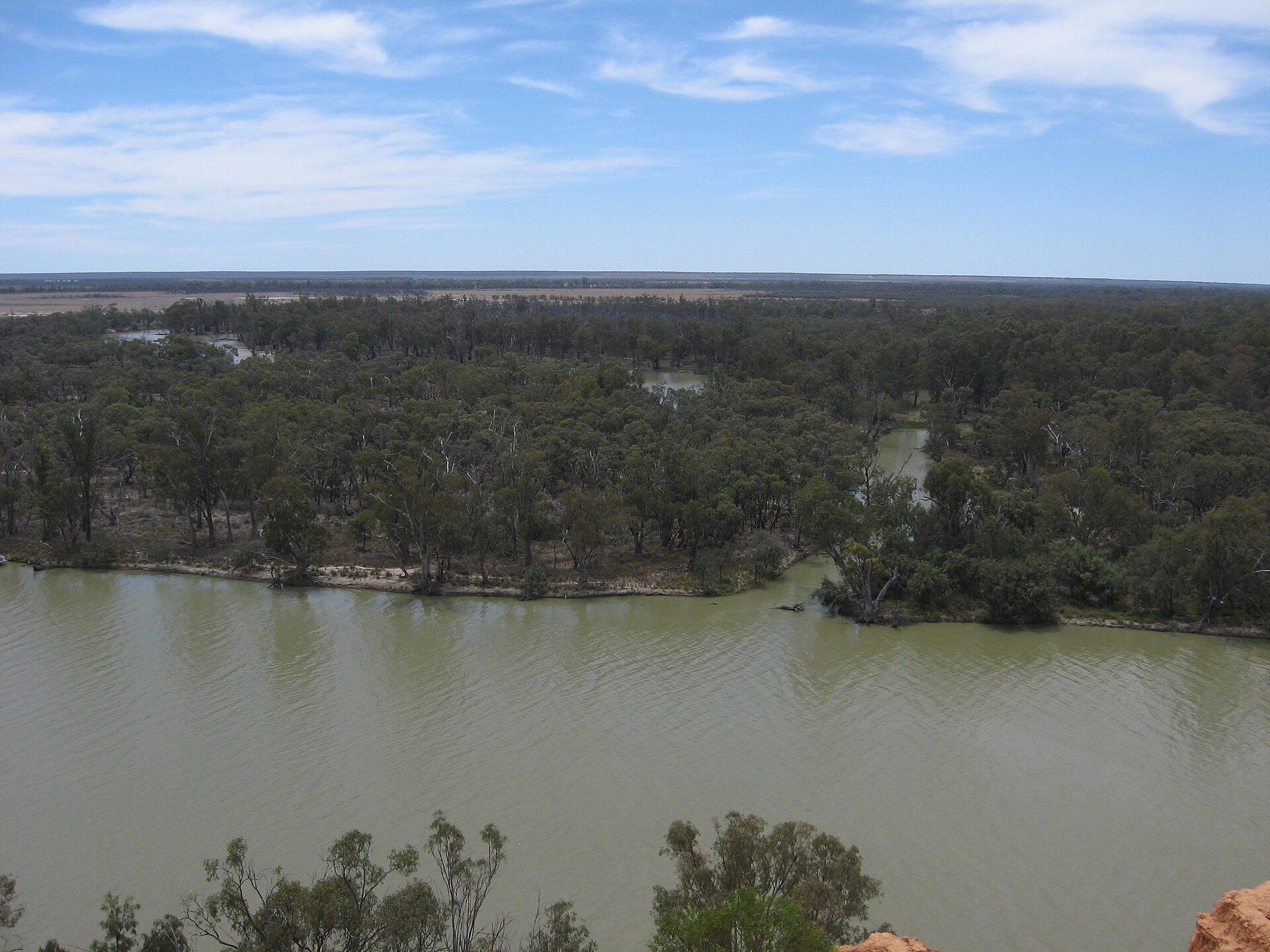 The Murray River spread wide across a green floodplain below red cliffs