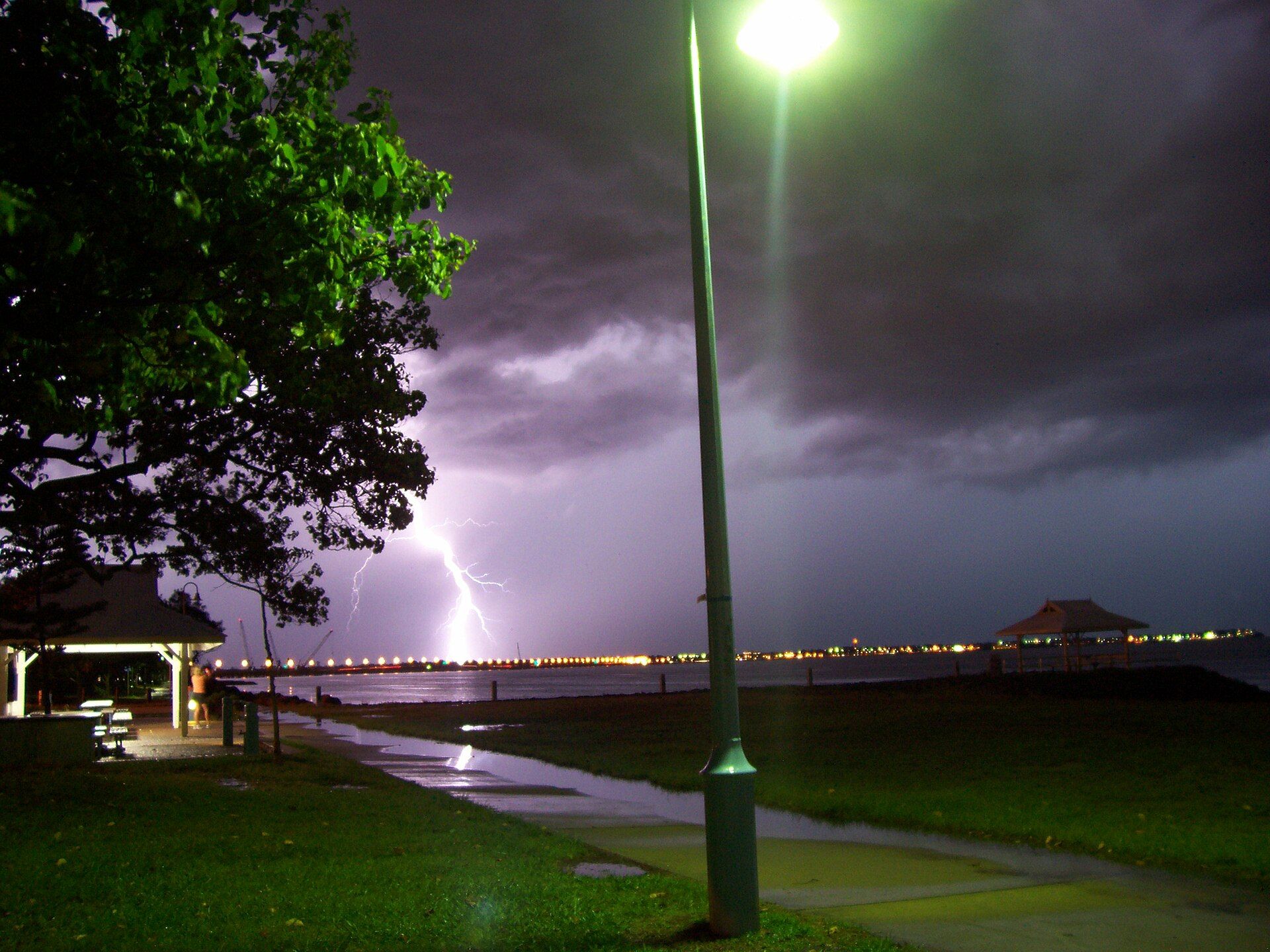 Lightning branching over the sea at night during a coastal thunderstorm